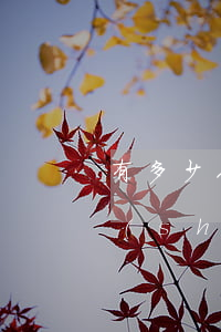 有多少人欠信用卡的錢，揭秘：信用卡欠款人數(shù)驚人，你是否也在其中？